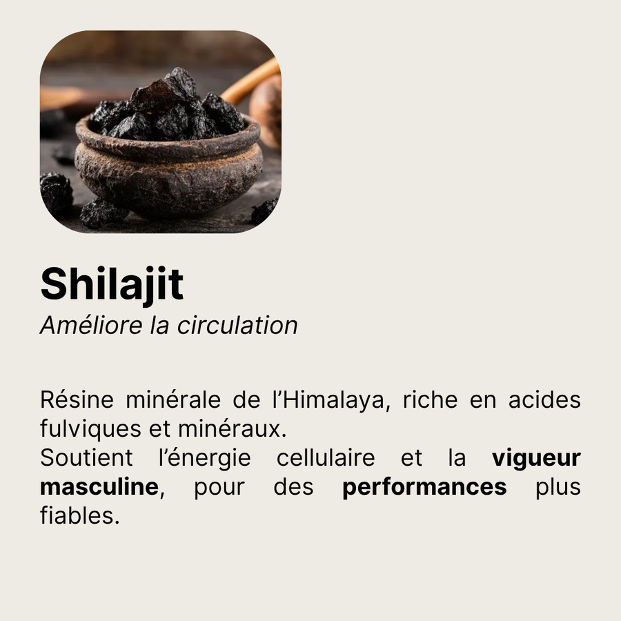 Shilajit â amĂ©liore la circulation