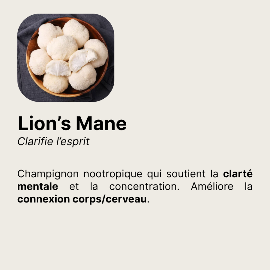 Lion's Mane â clarifie l'esprit