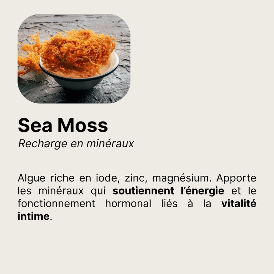 Sea Moss â recharge en minĂ©raux