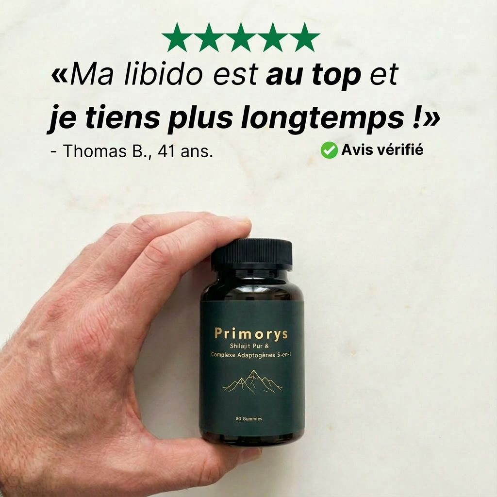 Avis client Primorys — Thomas