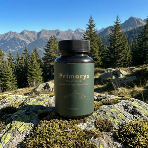 Primorys